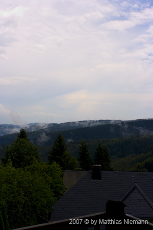 IMG_8548