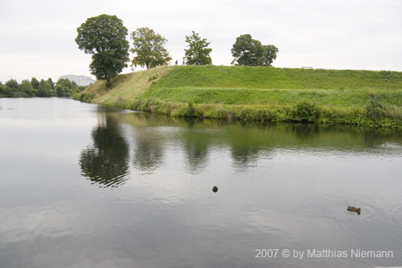IMG_8778