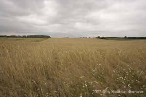 Strausberg und Umgebung 15.07.2007